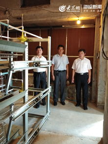 全市獸用抗菌藥使用減量化行動試點啟動儀式在莒縣舉行