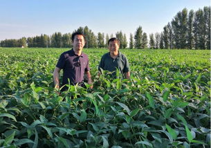 首農(nóng)集團京蒙扶貧協(xié)作出實招