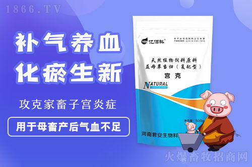 母豬產(chǎn)后氣血不足怎么辦 來河南億佰科找宮克