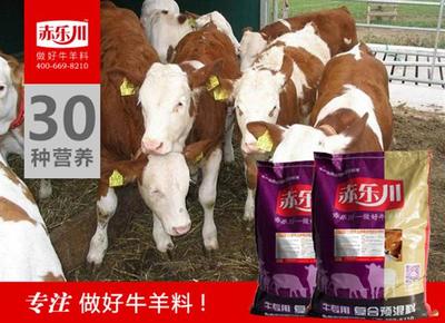 甘肅犢牛增肥飼料N350_百川網(wǎng)