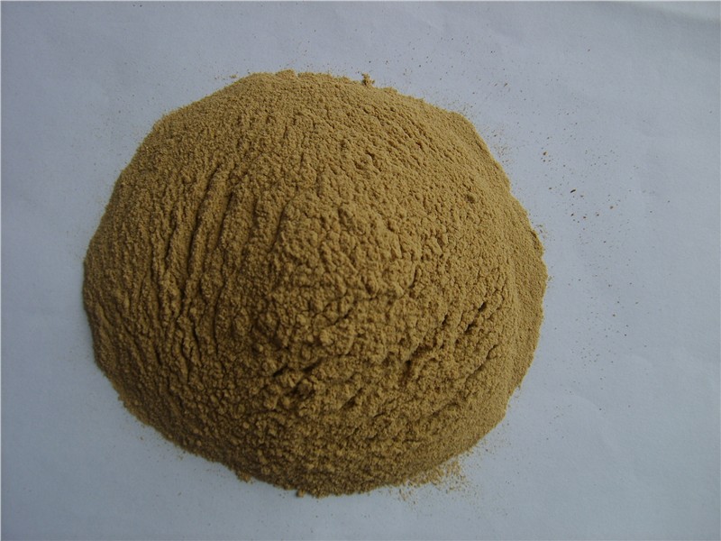 山東鵬飛生物科技 - 復(fù)合氨基酸酵母飼料 - 產(chǎn)品信息