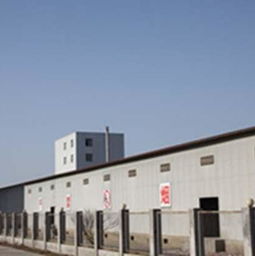 看準(zhǔn)網(wǎng)