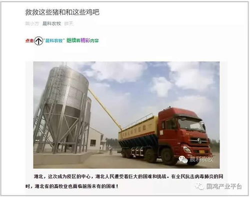 飼料告急！湖北龍頭養雞企業僅剩3天庫存，畜牧業協會緊急呼吁救急