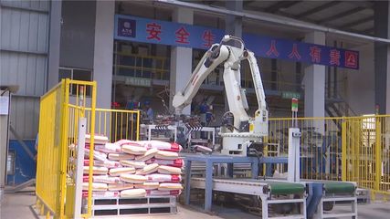 年產值10億元！湖北丹富仕飼料項目建成投產，為畜牧養殖注入強勁動力