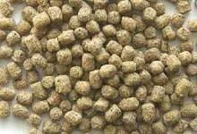 曲阜匯達農林機械有限責任公司 飼料科的核心職能與技術創新